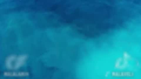 Onlyf4s nalalan29 online show from 12.02.25