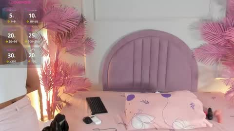 nalapalmer online show from 05.24.26