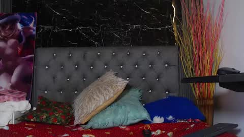 Snapshot of nalaroy chatting on 12.28.24 NALAROY online show from 12.28.24