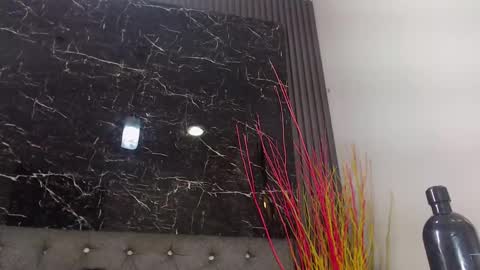 Snapshot of nalaroy chatting on 01.10.25 NALAROY online show from 01.10.25