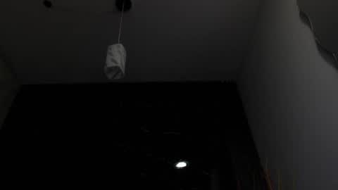 Snapshot of nalaroy chatting on 02.15.25 NALAROY online show from 02.15.25