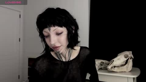 Snapshot of nananevaeragain chatting on 12.28.24 Nana online show from 12.28.24