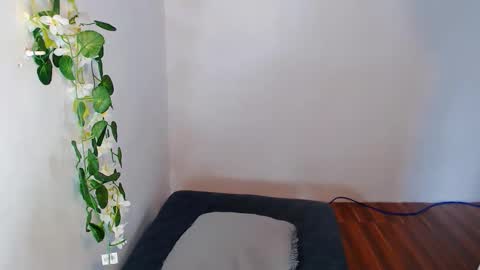 Snapshot of nashdiam chatting on 11.30.25 nashdiam online show from 11.30.25