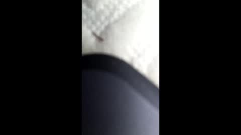 nastysubs69 online show from 01.12.25