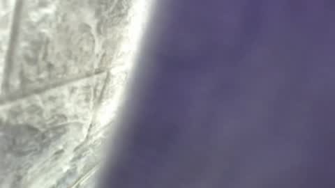 natalieevansx online show from 11.16.25