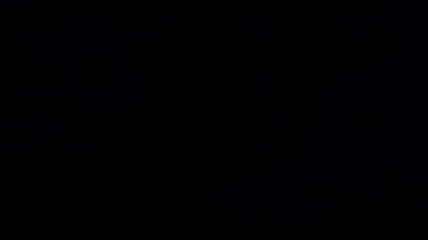 Haven online show from 01.14.25