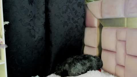 Nat  online show from 12.27.24