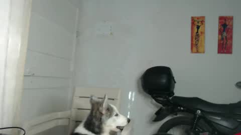 Stella Mcqueen online show from 12.31.24