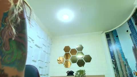 Kitten online show from 02.12.26