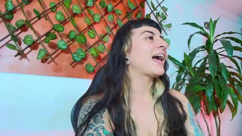 Kitten online show from 04.10.26