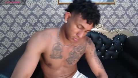 SEBAS online show from 03.11.25