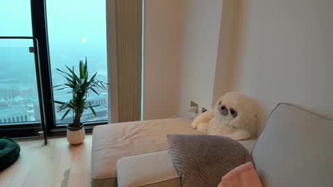 Snapshot of naughtynerdygirl chatting on 02.15.25 Gigi Chu online show from 02.15.25