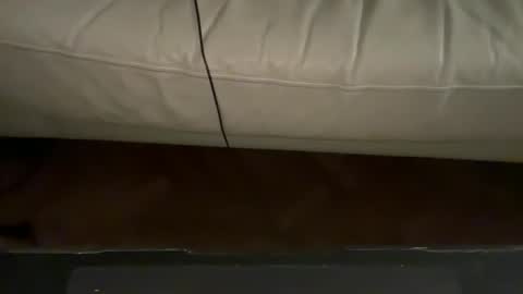 Snapshot of navigatingtothesky chatting on 11.18.25 navigatingtothesky online show from 11.18.25