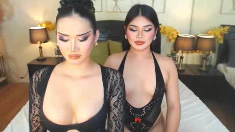 F R A N Z I A online show from 11.15.25