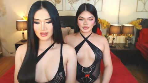 F R A N Z I A online show from 12.02.25