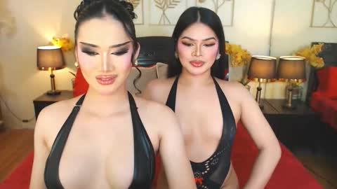 F R A N Z I A online show from 12.04.25