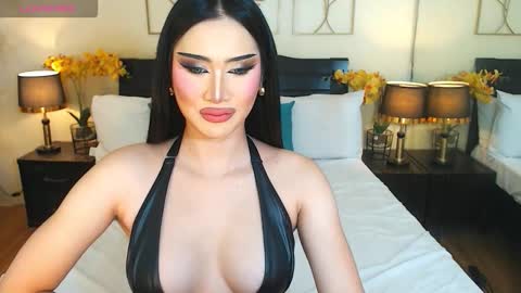 F R A N Z I A online show from 01.08.26