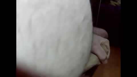 ncbncb online show from 03.01.25