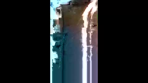 neamtu online show from 05.24.26