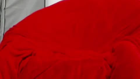 neccesitysexxxxx online show from 06.01.26