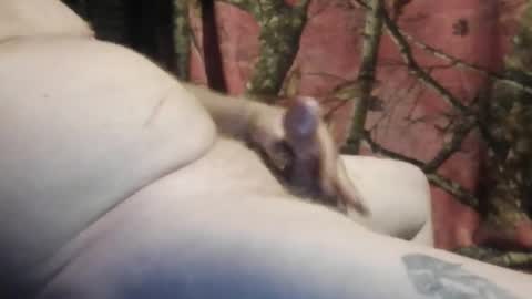 ned is naughty online show from 03.07.26