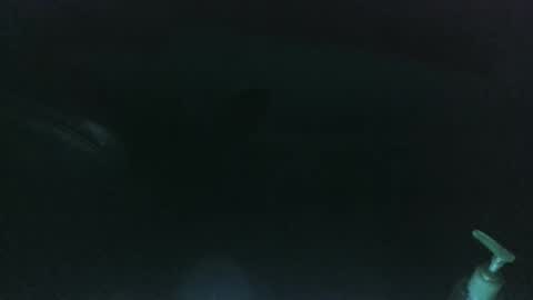 Snapshot of nelsonbucara chatting on 03.08.25 nelsonbucara online show from 03.08.25