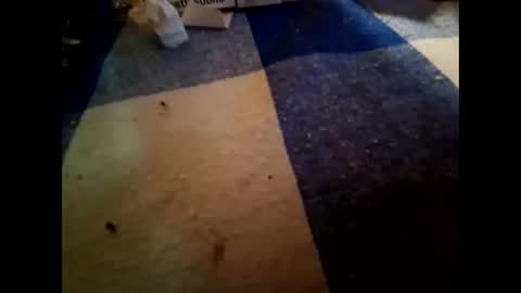 Snapshot of nembo1974 chatting on 11.01.25 boo online show from 11.01.25