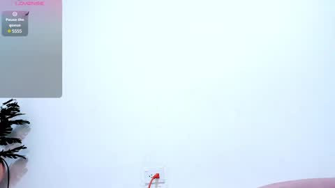 Nery online show from 02.17.25