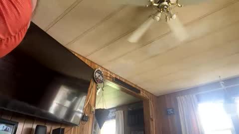 neversaynevrrr online show from 11.01.25