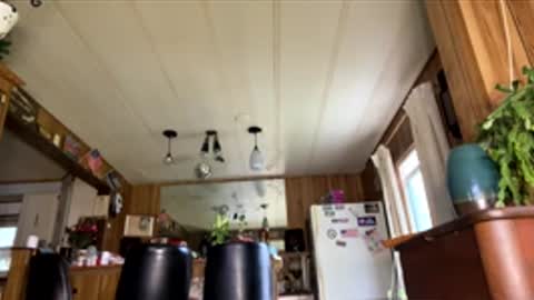 neversaynevrrr online show from 04.18.26