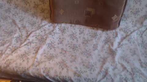 Snapshot of new_milf chatting on 02.10.25 Lilly online show from 02.10.25