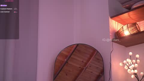 Snapshot of nicdani_1 chatting on 01.11.25 Dani 3 online show from 01.11.25