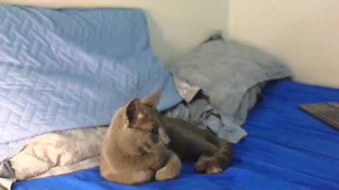 Snapshot of nickjordan1 chatting on 12.19.24 Nicolas online show from 12.19.24