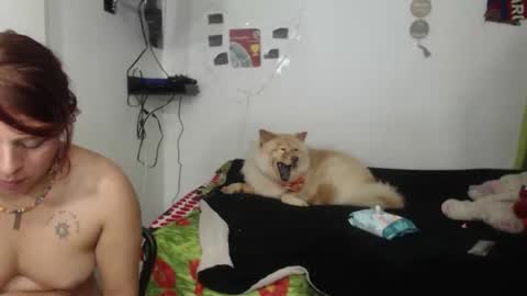 Nickyandcam online show from 04.11.26