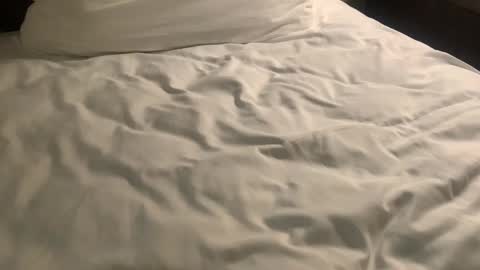 Nick Zoos online show from 01.29.25