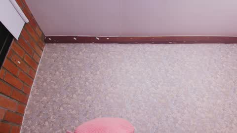 Snapshot of nicol_ferrer chatting on 12.31.24 Nicol online show from 12.31.24