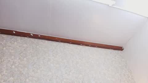 Snapshot of nicol_ferrer chatting on 10.03.25 Nicol online show from 10.03.25