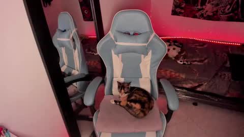 Nicol independent model online show from 01.14.25