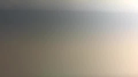 Nicoll  Independent model online show from 12.21.25