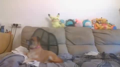 Brian and Logan Brogan online show from 10.16.25