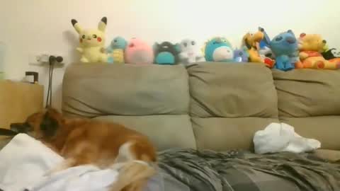 Brian and Logan Brogan online show from 04.17.26