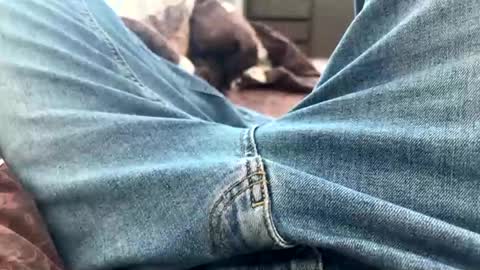 NIk online show from 02.25.25