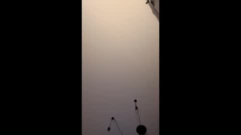 neighbours online show from 01.16.26