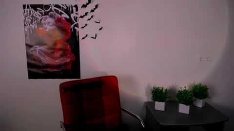 nikonara_ online show from 02.12.25