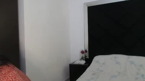 Snapshot of nina_inkk chatting on 01.22.25 Carolina online show from 01.22.25