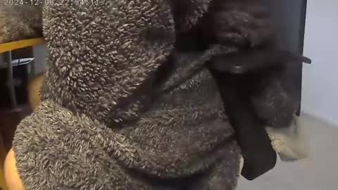 Snapshot of nineinchhard chatting on 12.05.24 nineinchhard online show from 12.05.24