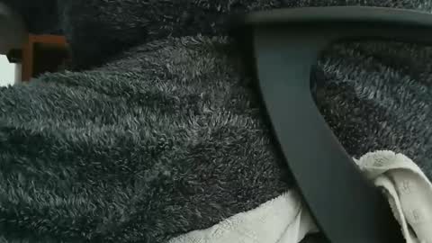 Snapshot of nineinchhard chatting on 09.23.25 nineinchhard online show from 09.23.25