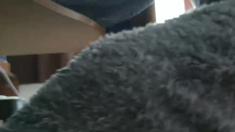 Snapshot of nineinchhard chatting on 10.20.25 nineinchhard online show from 10.20.25