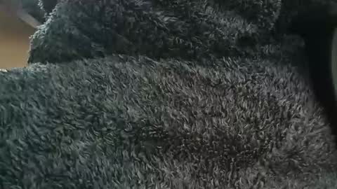 nineinchhard online show from 04.01.26