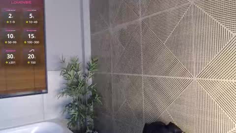 noah_dupont_ online show from 02.22.26